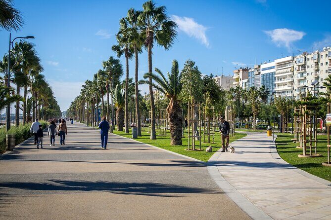 Limassol Like a Local: Customized Private Tour - Key Points