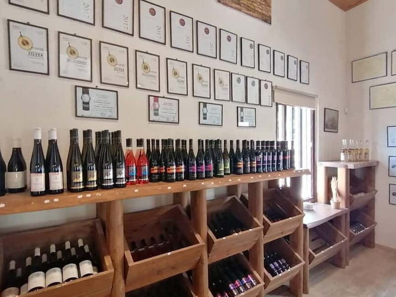 Limassol, Omodos & Wine Tasting Tour - The Sum Up