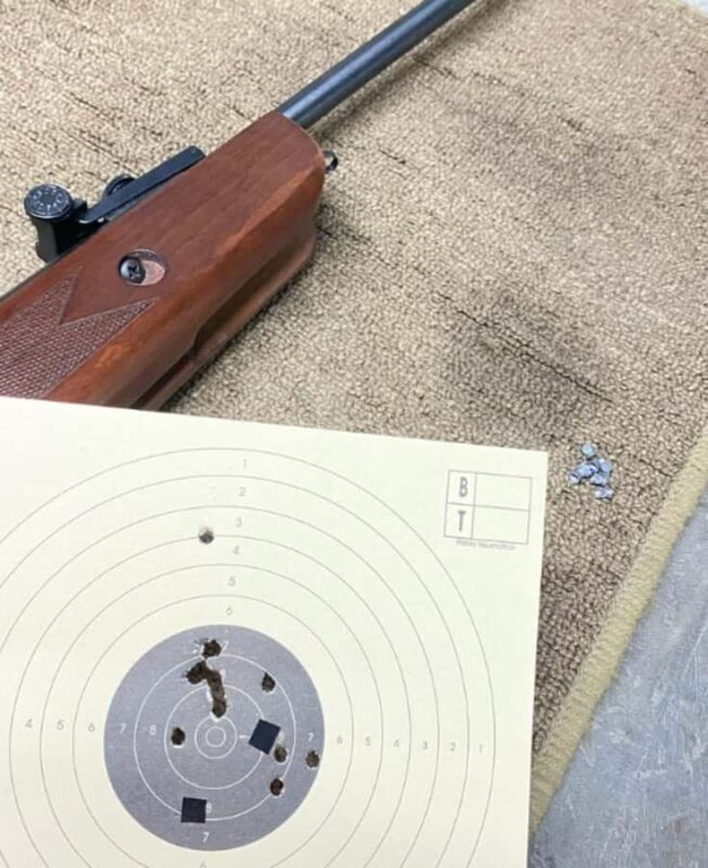 LIME: AIR CARBINE SHOOTING PRACTICE + THEORETICAL INSTRUCTION - An Honest Look at the Air Carbine Shooting Experience