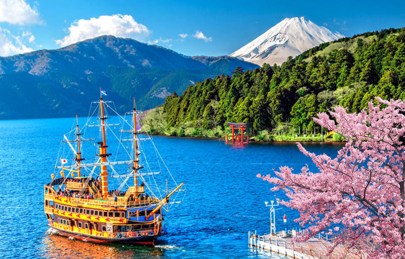 Limited Fireworks Departing from Tokyo: Atami Fireworks Festival & Hakone Shrine One-Day Tour - Is $55.50 good value?