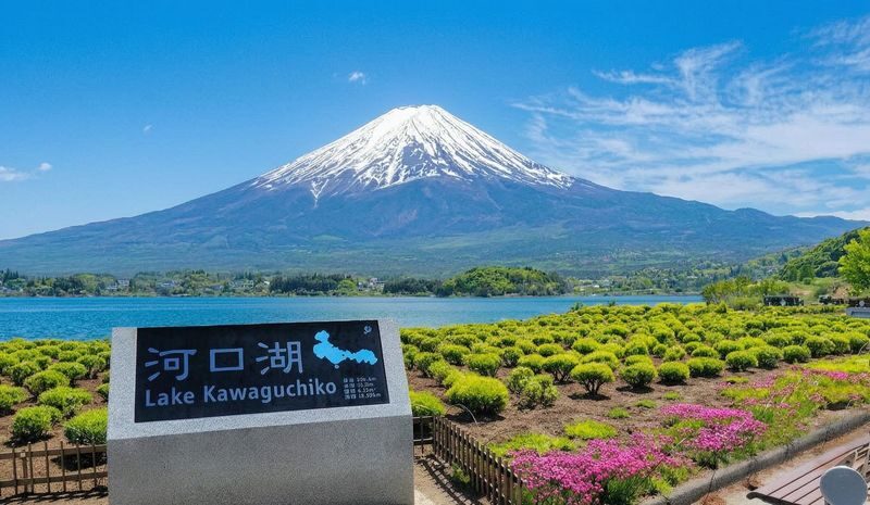 Limited-time Special: Mount Fuji Internet-famous Scenic Spot Day Tour | Departing from Tokyo - Kawaguchiko, Oishi Park and the Lawson photo stop