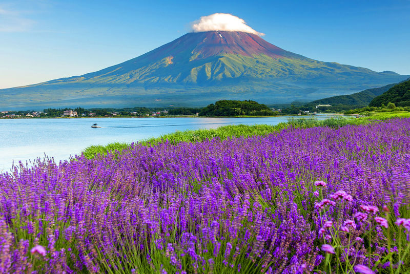 Limited-time Special: Mount Fuji Internet-famous Scenic Spot Day Tour | Departing from Tokyo - Oshino Hakkai’s spring-fed pools