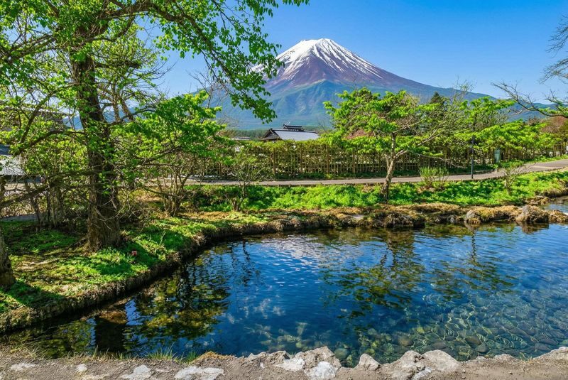 Limited-time Special: Mount Fuji Internet-famous Scenic Spot Day Tour | Departing from Tokyo - What to know before you book