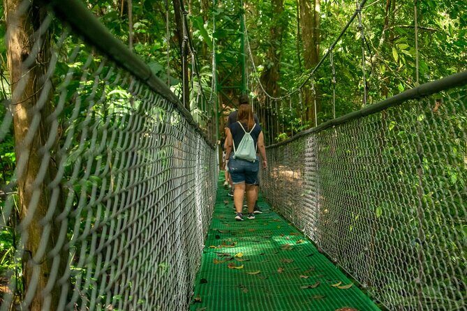 Limón Rainforest Hanging Bridges-Skywalk Tour & Tortuguero Canals - An In-Depth Look at the Limón Rainforest Hanging Bridges-Skywalk Tour & Tortuguero Canals