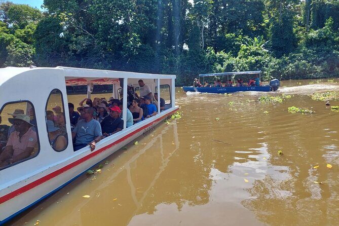 Limón Rainforest Hanging Bridges-Skywalk Tour & Tortuguero Canals - Practical Details and Tips