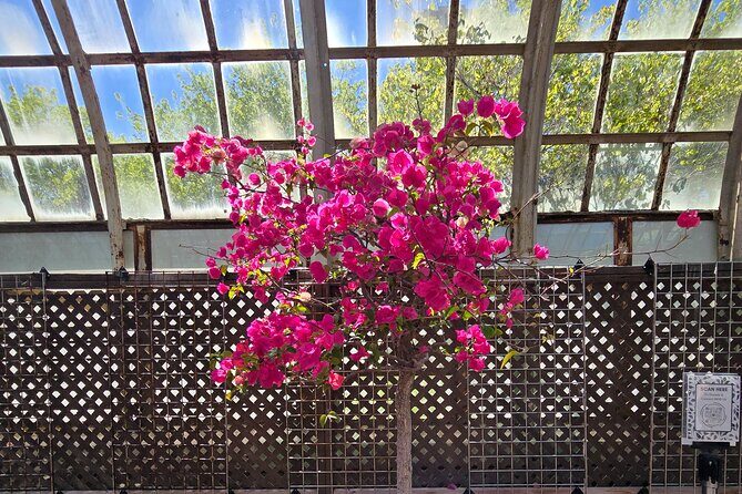 Lincoln Park Nature Museum and Zoo Public Walking Tour - Exploring the Itinerary in Detail