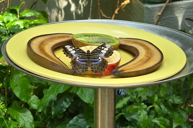 Lincoln Park Nature Museum and Zoo Public Walking Tour - The Value of This Tour