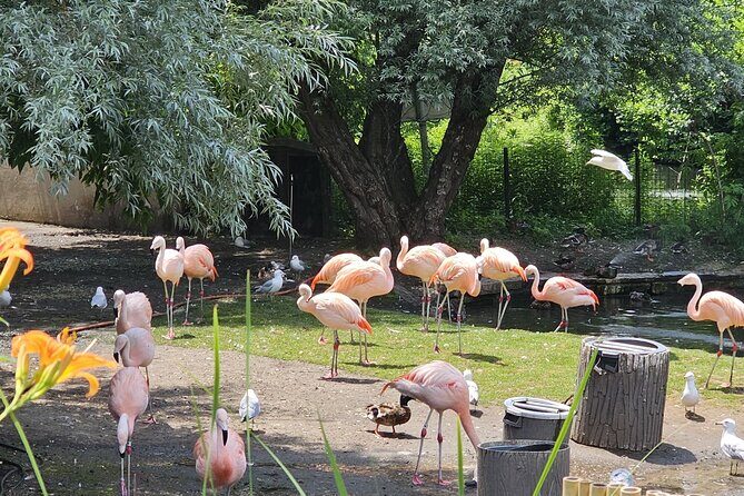 Lincoln Park Nature Museum and Zoo Public Walking Tour - FAQs
