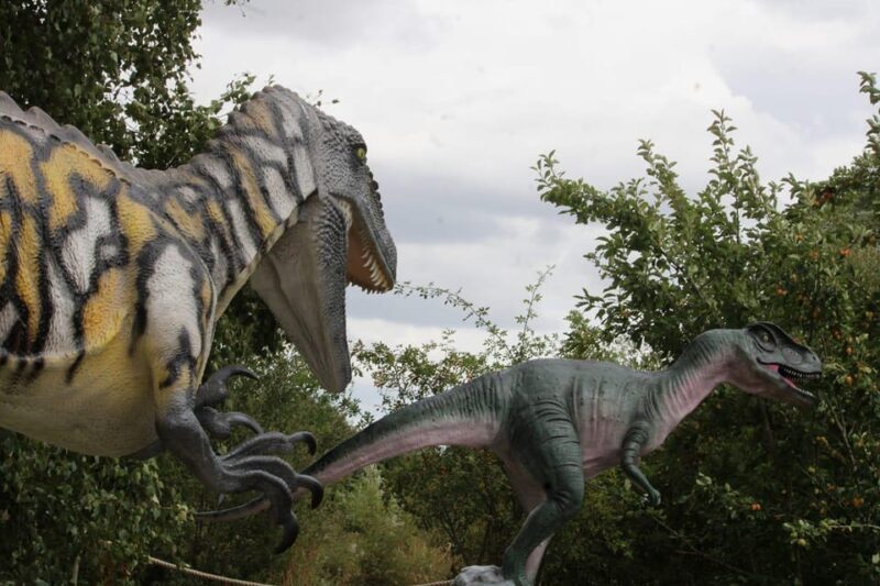 Lincolnshire: ARK Wildlife and Dinosaur Park Entry Ticket - Who Will Love This Place?
