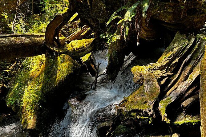 Lindeman and Chilliwack Lakes Sightseeing Tour - Practical Details for Travelers