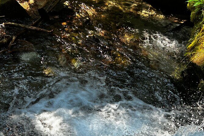 Lindeman and Chilliwack Lakes Sightseeing Tour - The Sum Up