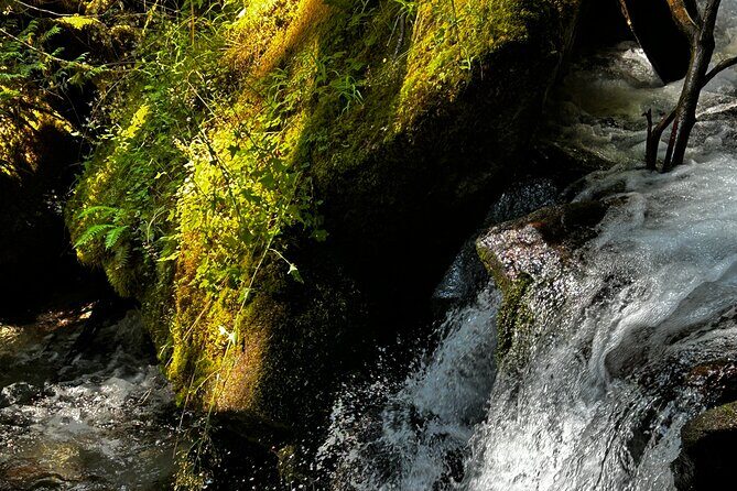 Lindeman and Chilliwack Lakes Sightseeing Tour - Frequently Asked Questions