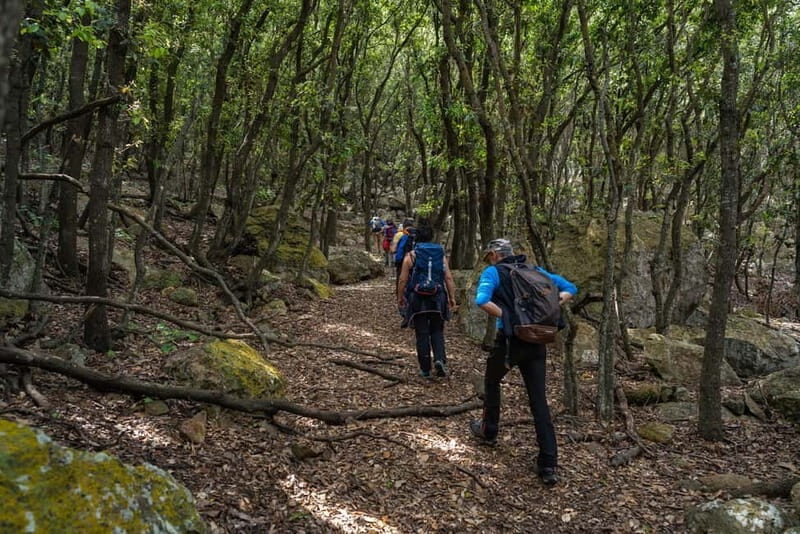 Linea isola di Zannone - Frequently Asked Questions