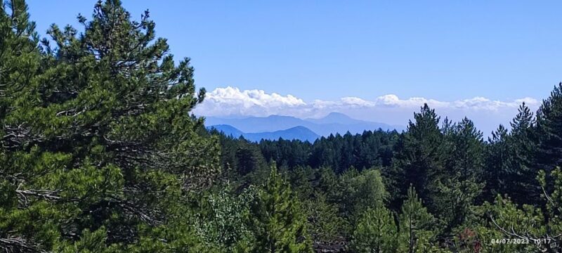 Linguaglossa: North Etna Guided Forest Walking Tour - FAQs