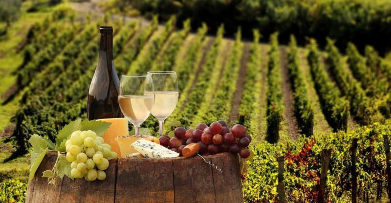 Linguaglossa: Wine Tasting Experience at Etna Nord - Why This Tour Works