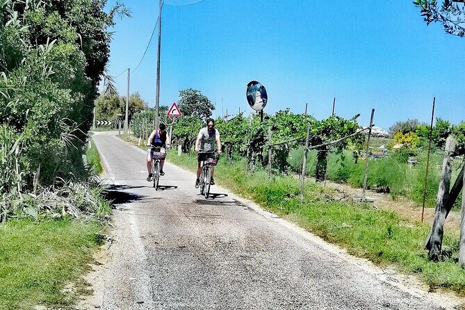 Lio Piccolo: Flamingos & Birdwatching Bike Tour in the Lagoon - Frequently Asked Questions