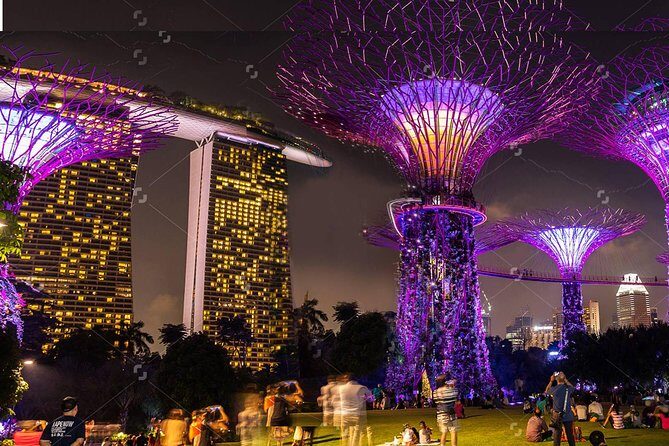 Lion City Night Out + Roundtrip Transfers - A Closer Look at the Singapore Night Out Experience