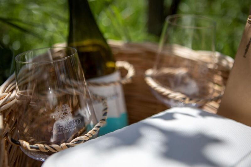 LIPARI WINERY - PIC NIC IN THE VINEYARD - An In-Depth Look at the Vineyard Picnic Experience