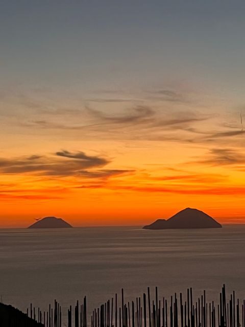 LIPARI WINERY - PIC NIC IN THE VINEYARD - Final Thoughts: A Quiet Slice of Sicily’s Charm