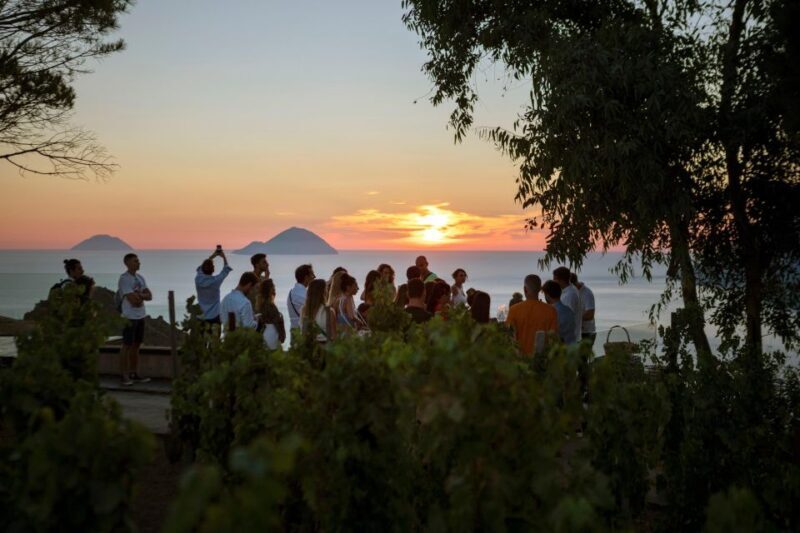 LIPARI WINERY - SUNSET WINE TASTING - A Deep Dive into the Sunset Wine Tasting Experience