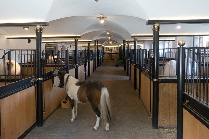 Lipica Stud Farm and Skocjan Caves from Koper - Who’s This Tour Best For?