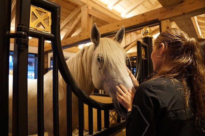 Lipica Stud Farm and Skocjan Caves from Piran or Portoroz or Izola - FAQ