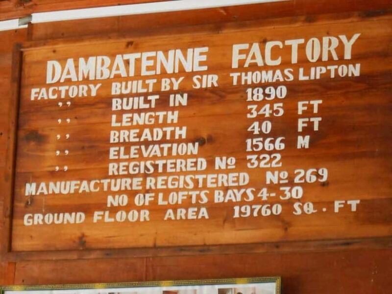 Lipton's Seat, Adisham Bungalow, Dambetenna Tea Factory Tour - A Deep Dive into the Tour Experience