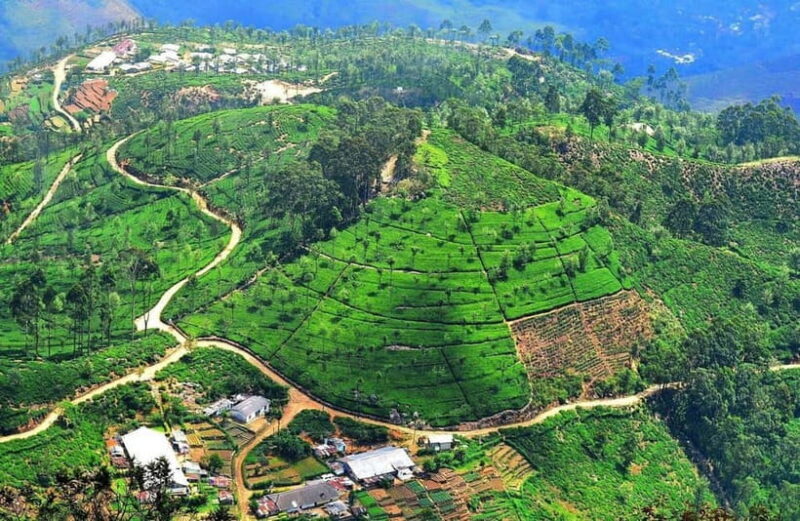 Lipton's Seat, Adisham Bungalow, Dambetenna Tea Factory Tour - Who Is This Tour Best For?