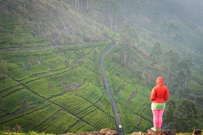 Lipton's Seat and Tea Factory,Trail Amidst Tea Plantation Day Tour - Final Thoughts: Is It Worth It?