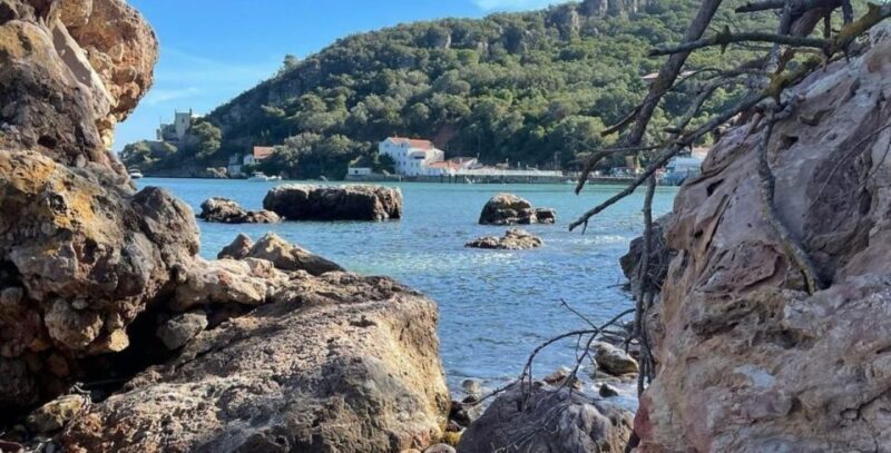 Lisboa: Setúbal, Arrábida & Azeitão Tour, with Wine Tasting! - Who Should Consider This Tour?