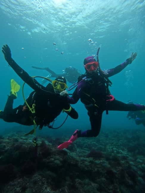 Lisboa:Try Scuba Diving in Arrábida Marine Reserve w/photos - Final Thoughts: Who Will Love This?
