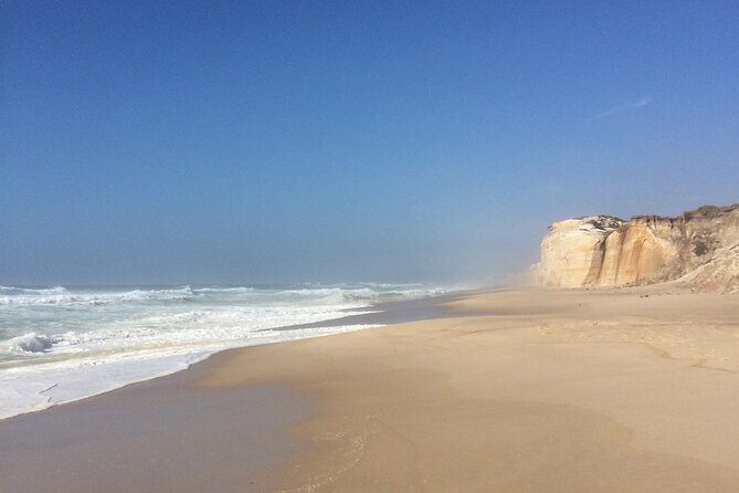 Lisbon Airport Private Transfer to Comporta - Why Choose This Transfer?