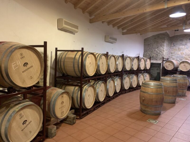 Lisbon Area Wine Tour - Discover the Charm of the Lisbon Wine Region with a Guided Tour