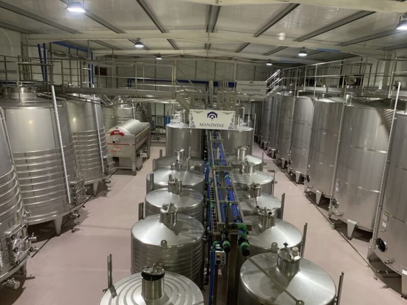 Lisbon Area Wine Tour - What You Can Expect