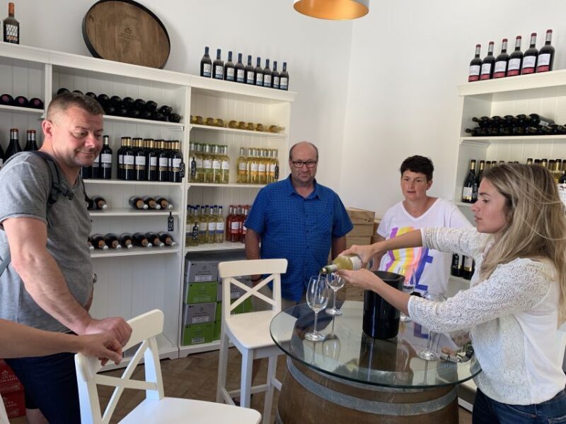 Lisbon Area Wine Tour - Final Thoughts