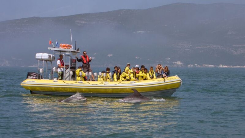 Lisbon: Arrábida Natural Park Dolphin Watching Boat Tour - Exploring the Experience in Detail