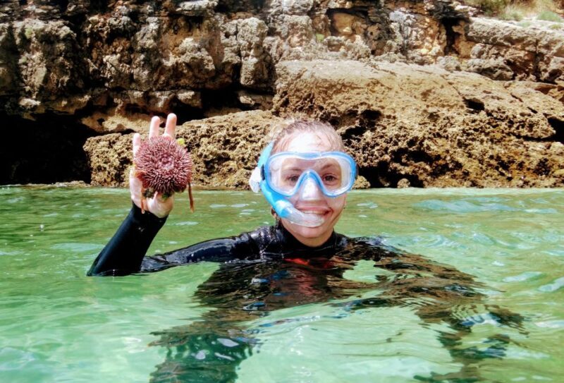 Lisbon: Arrábida Snorkeling Adventure - Key Points