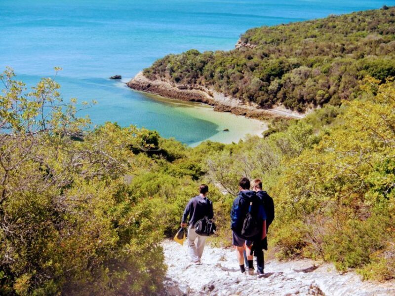 Lisbon: Arrábida Snorkeling Adventure - An In-Depth Look at the Arrábida Snorkeling Adventure
