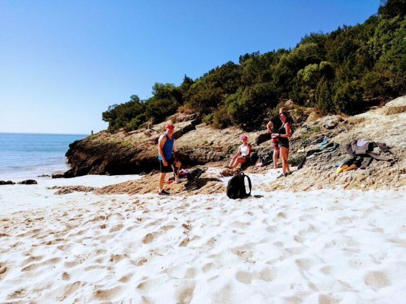 Lisbon: Arrábida Snorkeling Adventure - Final Thoughts