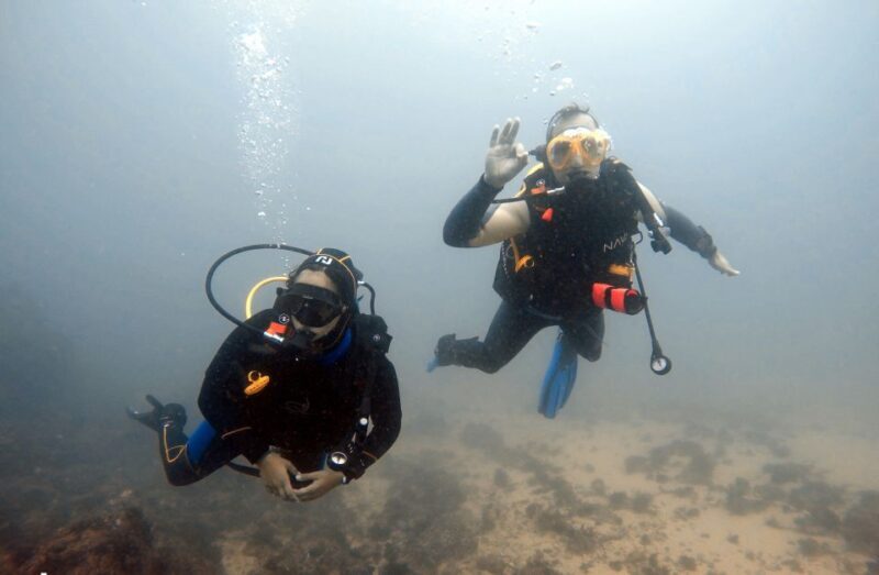 Lisbon: Become a Scuba Diver in 3-Days - Key Points