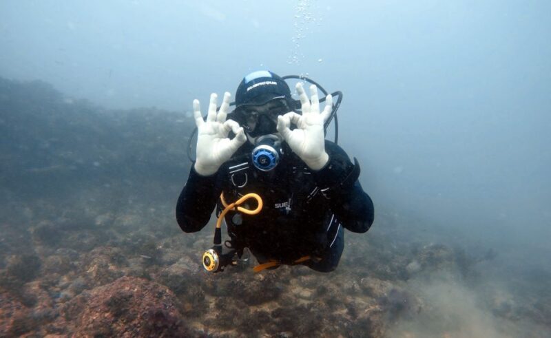 Lisbon: Become a Scuba Diver in 3-Days - What You Can Expect from This Three-Day Scuba Course