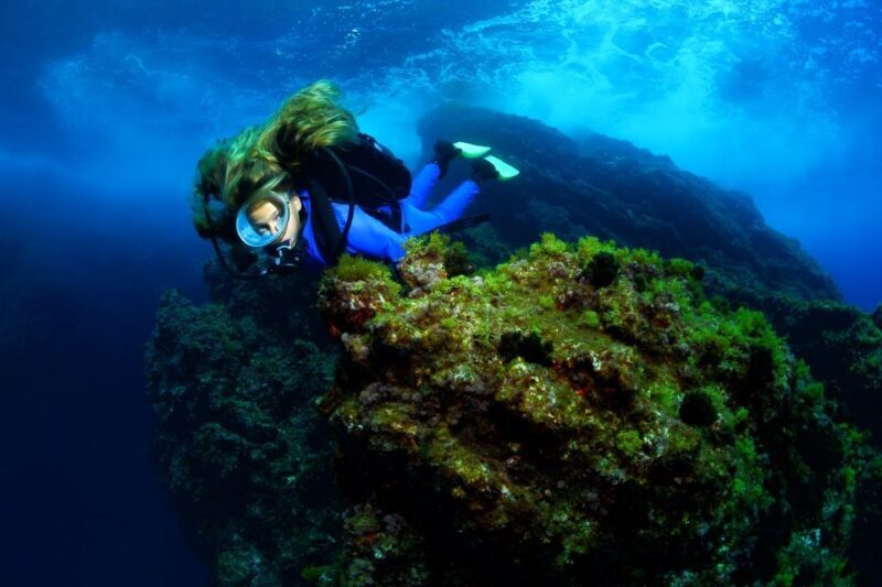 Lisbon: Become a Scuba Diver in 3-Days - Why This Tour Offers Great Value