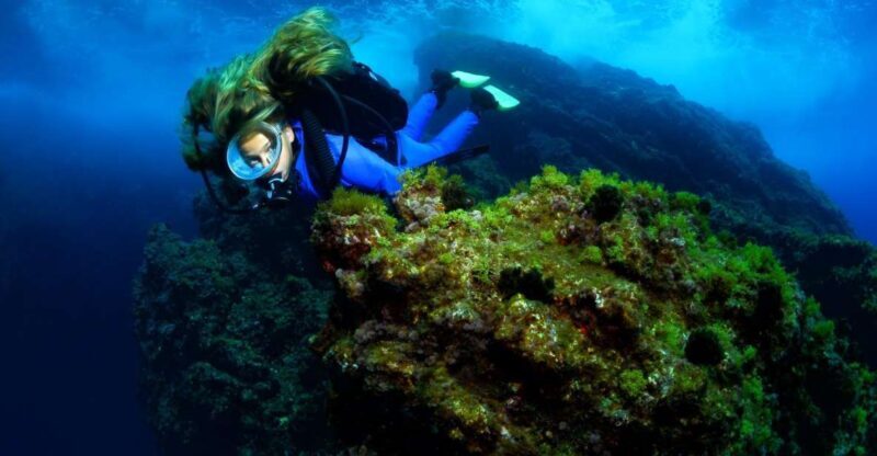 Lisbon: Become a Scuba Diver in 3-Days - Who Should Consider This Tour?