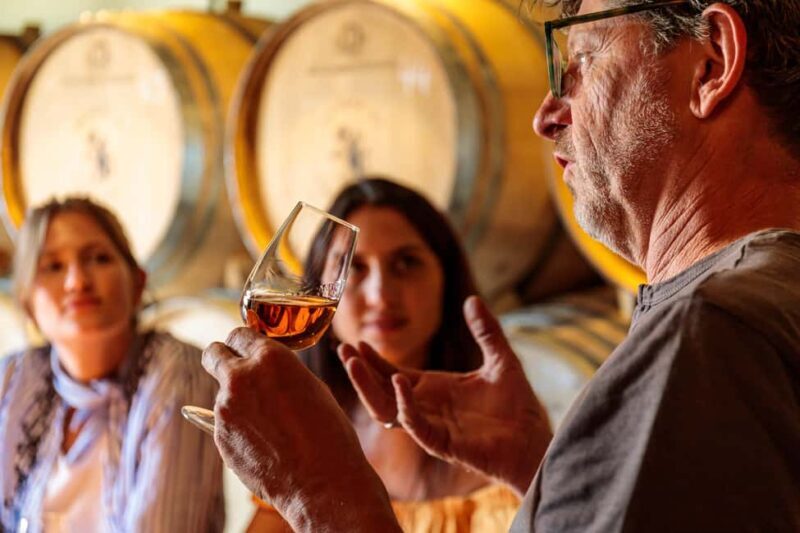 Lisbon: Carcavelos Vineyard Tour and Wine Tasting - Practical Details and Considerations