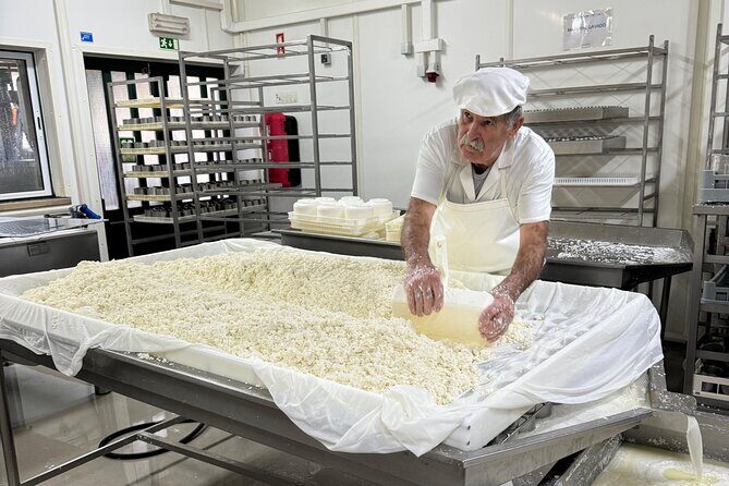 Lisbon Cheese Factory Visit, Wine Tasting and Tile Painting Tour - The Value of This Tour