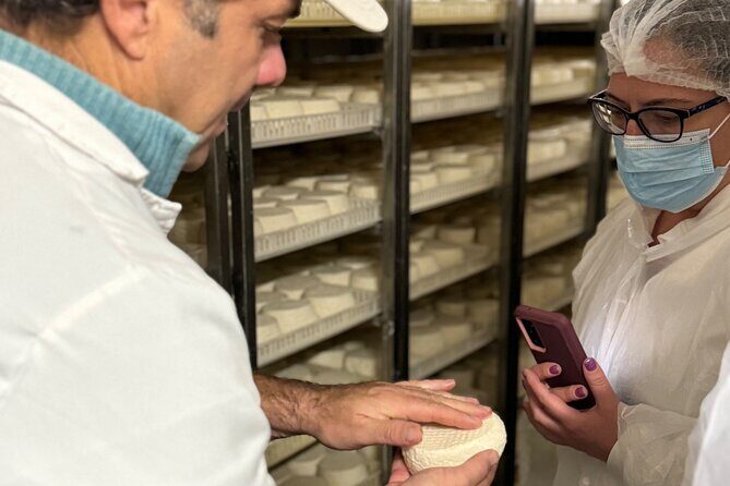 Lisbon Cheese Factory Visit, Wine Tasting and Tile Painting Tour - Final Thoughts