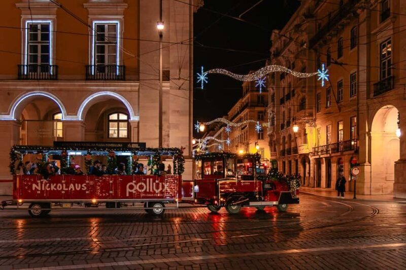 Lisbon: Christmas Lights Private & Flexible Walking Tour - Who Will Appreciate This Tour?