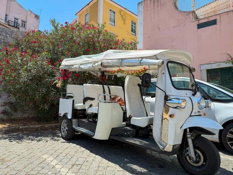 Lisbon City Overview with Tuk Tuk - A Realistic Look: Drawbacks and Considerations
