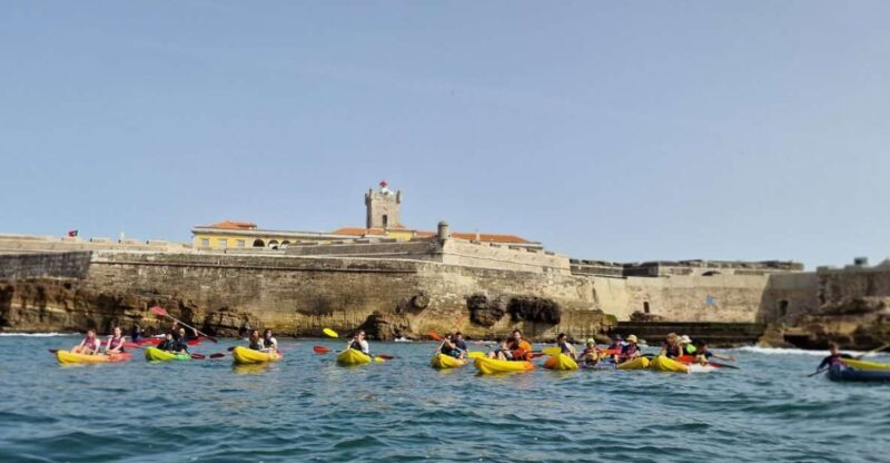 Lisbon: Coast Guided Kayak Tour - Key Points