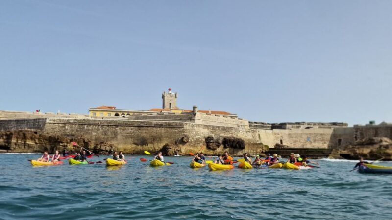 Lisbon: Coast Guided Kayak Tour - Exploring Lisbon’s Coast by Kayak: What You Can Expect